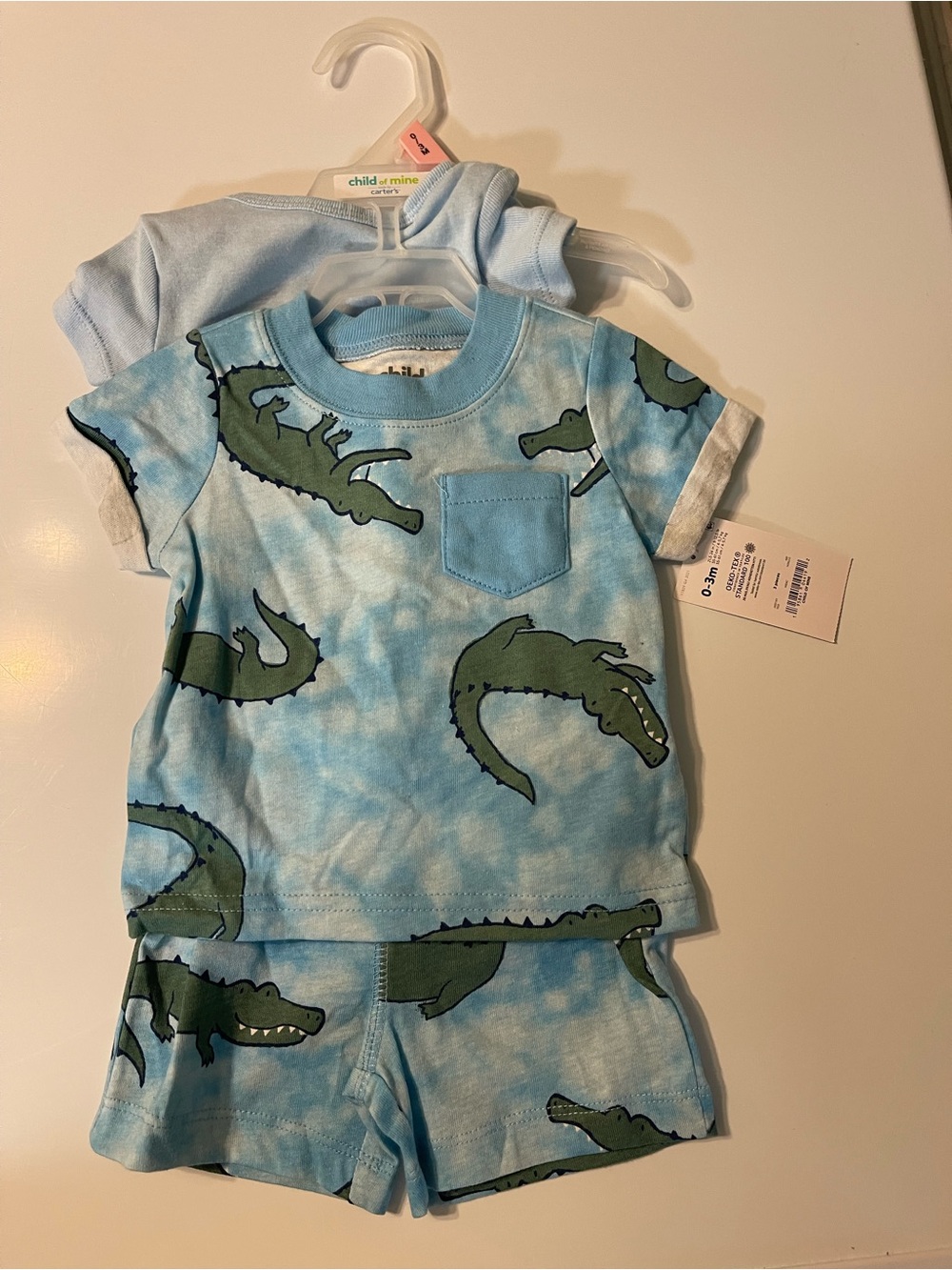 0-3 M Child of Mine Blue Crocodile Outfit